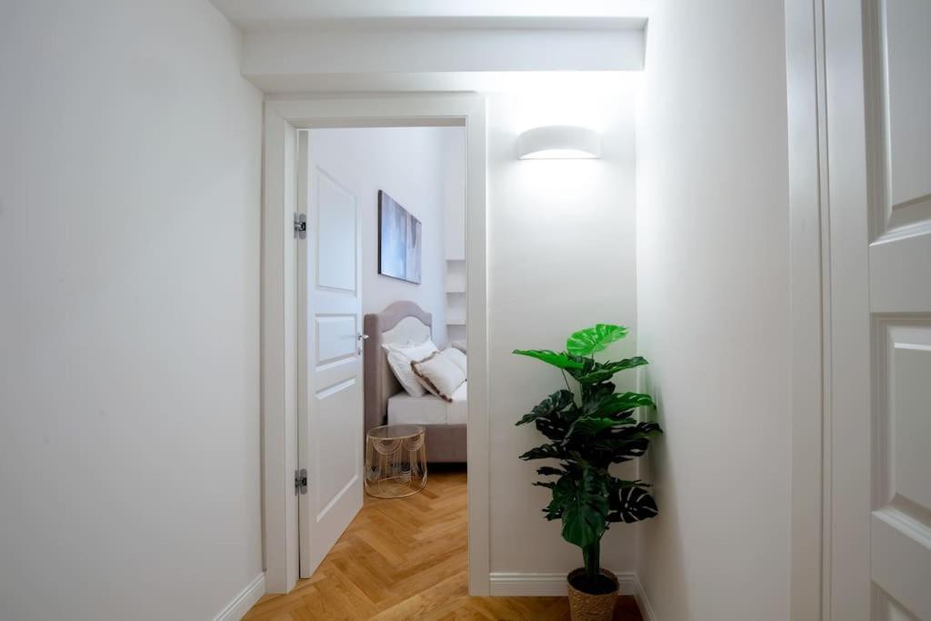 Dimora Nuvola Apartament Firenze Bagian luar foto